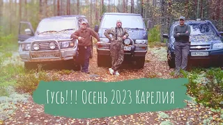 Охота на гуся 2023: Эпизод 1 — Удивительные моменты и приключения!