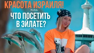 Красота Израиля или Что посетить в Эйлате? | Подводная обсерватория Эйлат | Дельфиний риф