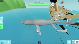 funny moments/close calls in sharkbite 1