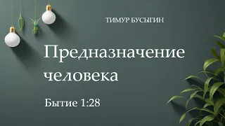 ПРЕДНАЗНАЧЕНИЕ ЧЕЛОВЕКА | Тимур Бусыгин