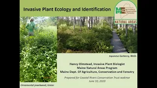 Invasive Plant Ecology and Identification