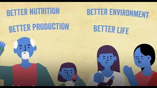 FAO’s work on food systems for nutrition