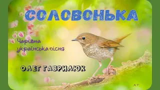 СОЛОВОНЬКА! (Чарівна українська пісня) -  Олег ГАВРИЛЮК