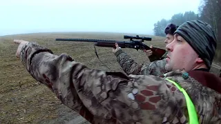 Ч.2 Загонщицы, первый лось на 2 отростка. Загонная охота на лося в Беларуси 2019. Driven elk huntin