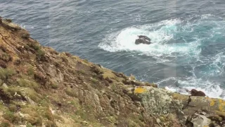 Sumburgh Head Lighthouse Shetland