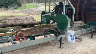 The woodland mill hm126 does it again!! Let’s mill some walnut logs.