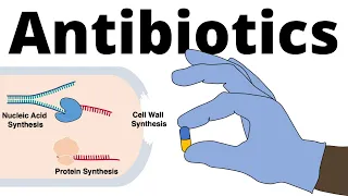 Antibiotics - Mechanisms of Action (Classification) and Antibiotic Resistance