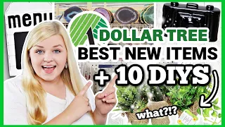 10 *SHOCKING* NEW Dollar Tree ITEMS + HOW I USE THEM?! | 10 NEW Dollar Tree DIYS | Krafts by Katelyn
