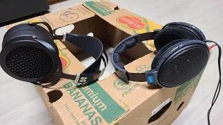 HiFiMAN Sundara vs Sennheiser HD600 (Fall 2020 RE Visit)