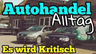 Wir brauchen DRINGEND Autos an der Straße! Probleme im Autohandel