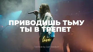 Приводишь тьму Ты в трепет (ЮС20) | Tremble | Люся Мкртычян | Слово Жизни Music