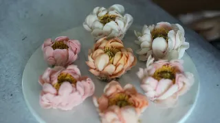 앙금플라워 핀작약 짜기, 모두의케이크, beancream flower, how to pipe peony_cakemodoo