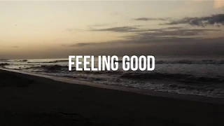 Nina Simone - Feeling Good (cover by Monka feat. Mònica Guiteras)