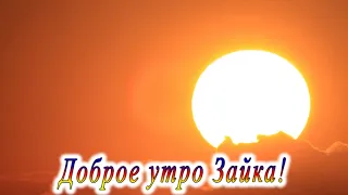 Доброе утро Зайка 2