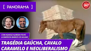 Panorama - Tragédia gaúcha, cavalo Caramelo e neoliberalismo
