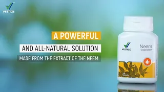 Vestige Neem Capsules | Product AV (Hindi)