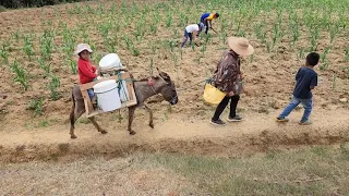 "Vendo atole para sacar adelante a mis hijos"|Eli.