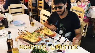 Monster Lobster at Hua Hin