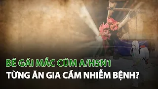 Bé Gái mắc Cúm A/H5N1 từng ăn Gia Cầm Nhiễm Bệnh?| VTC14