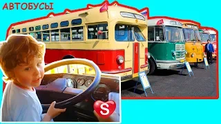 Про Автобусы 🚎 Машины и дети Идем на выставку ретро транспорта Buses & Cars for kids МирСаш