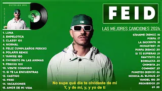 LAS 30 MEJORES CANCIONES DE Feid - Feid Grandes Mix Exitos 2024  - Mix Reggaeton 2024