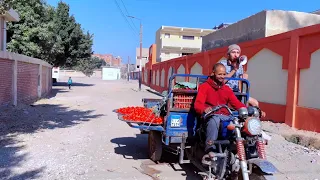 لما اخوك الصغير يبيع خضار للناس في الشارع🥔🍅😂 | محمد عماد