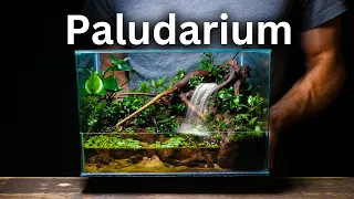 I Made a Paludarium With a Working Waterfall, Here’s How!