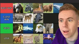 Ranking Animals That I Think I Could Beat In A Fight (TierList)