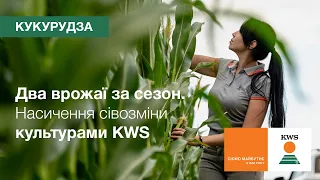 Два врожаї за сезон. Насичення сівозміни культурами KWS | КВС-УКРАЇНА