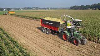 Maize harvest 2023 / Claas Jaguar 940 + Fendt + Case / Van Gessel