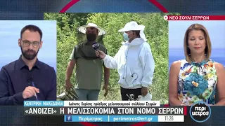 «Ανθίζει» η μελισσοκομία στον νομό Σερρών | 18/06/2021 | ΕΡΤ