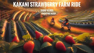 Strawberry Farm Near Kathmandu 🇳🇵 - Best place for weekend Kakani | Sudip Vlogs