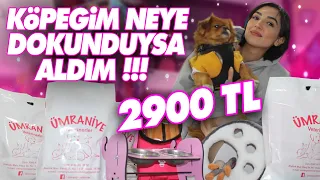 KÖPEĞİMİN DOKUNDUĞU HERŞEYİ SATIN ALDIM !!!