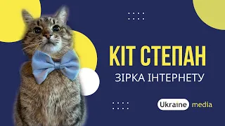 😺⚡🔥 КІТ СТЕПАН, ЩО ВРЯТУВАВСЯ З-ПІД ОБСТРІЛІВ ХАРКОВА, ОТРИМАВ БЛОГЕРСЬКОГО ОСКАРА | Ukraine.Media