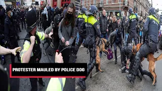 Police Set Dogs On Protesters At Massive Anti-Lockdown Rally | Cobrapost