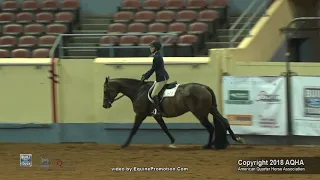 A Judge's Perspective: 2018 AQHYA Hunter Hack World Champion