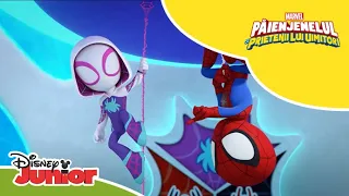 👀 Avem un intrus! | Păienjenelul Marvel și prietenii lui uimitori | Disney Junior România