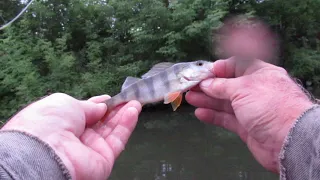 Рыбалка на реке Стерля