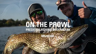 MONSTER Pike in Denmark Part 1 | On the Prowl