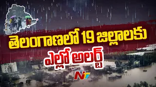 Heavy Rain Alert For Telangana, IMD Issues Yellow Alert To 19 Districts | Ntv