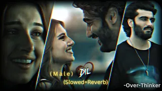 Dil (Slowed+Reverb) | Male Version | Raghav Chaitanya | Ek Villain Returns | Over-Thinker