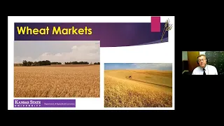 Ukraine and Russian Conflict - Grain Markets Situation