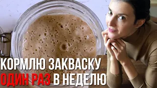 Ведение закваски. Закваска без остатков после кормления