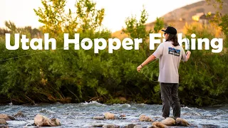 Fly Fishing Utah's Most Underrated River