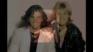 Why did you do it just tonight modern talking  home cover by karel sanders