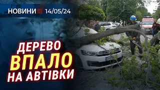 🎥 На кладовищі знайшли БОЄПРИПАС | Дерево ВПАЛО на автівки | РОЗМІНУВАННЯ Баштанського району