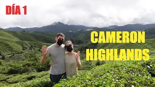 FIRST TIME IN CAMERON HIGHLANDS! - MALAYSIA - DAY 1 - VLOG #37