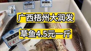 实拍广西梧州市大润发物价 草鱼4.5元一斤 金枕榴莲28元一斤 一大盒凉皮3.5元 牛肉牛腩猪肉鸡肉价格便宜 跟送差不多 熟食便宜的要命 等于免费