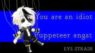 You are an idiot | MEME | Puppeteer angst | EYE STRAIN