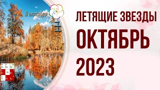 ФЭНШУЙ 2023: Прогноз по Летящим Звездам на ОКТЯБРЬ 2023